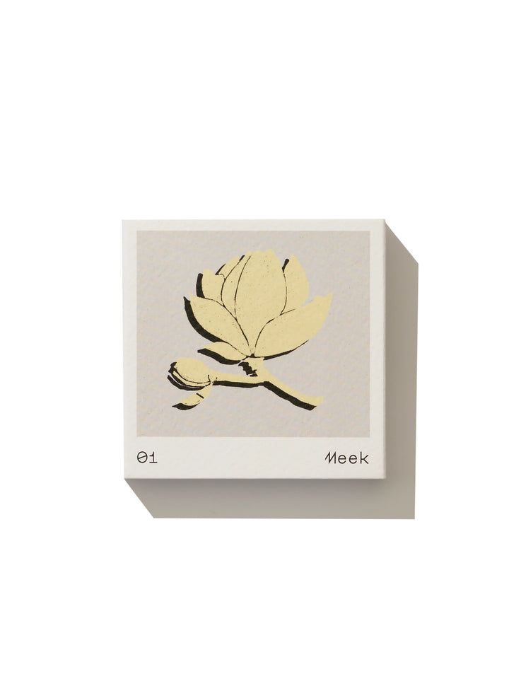 Pocket Incense Matches