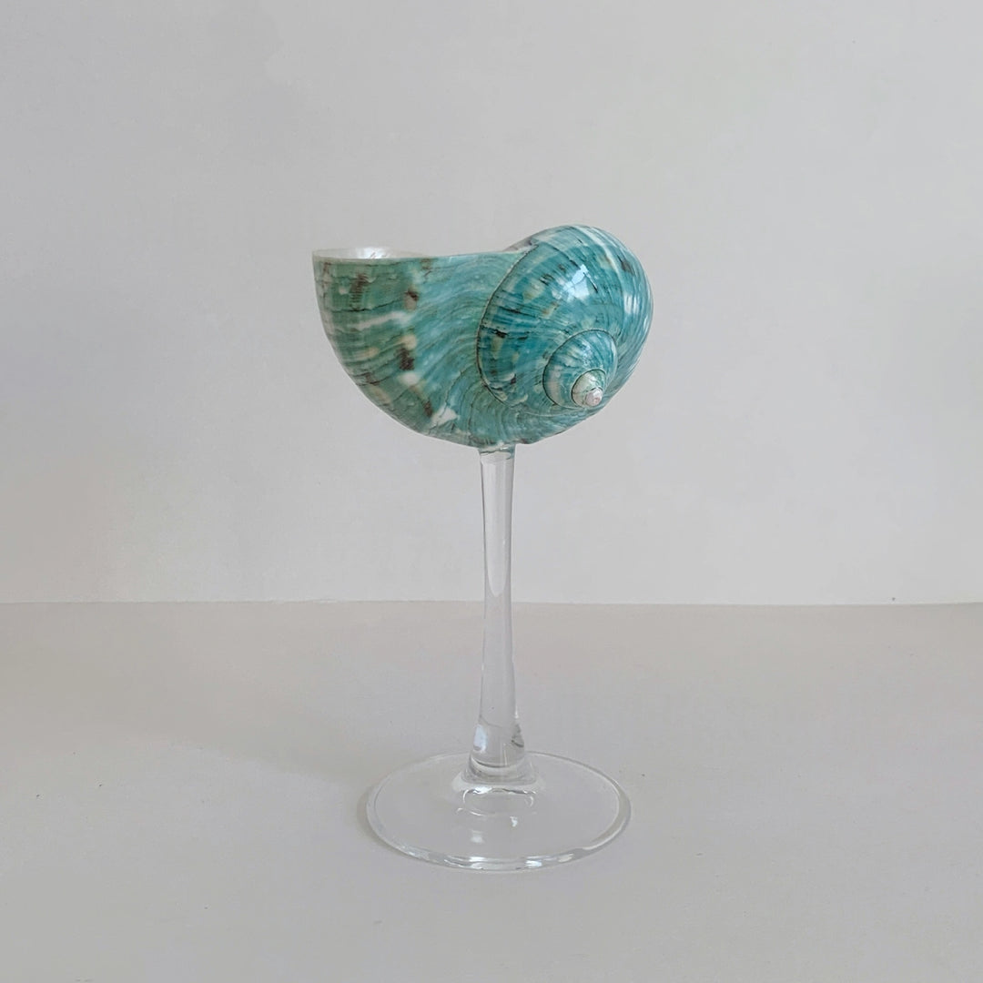 Silver & Green Conch Wine Glass