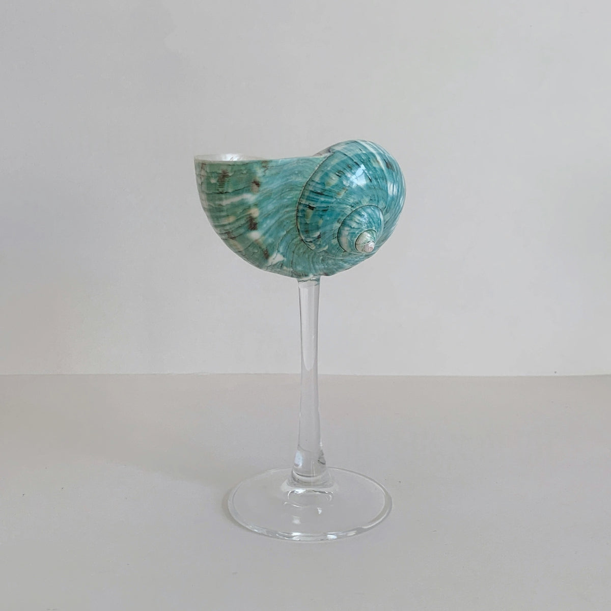 Silver & Green Conch Wine Glass - TRLab Shop