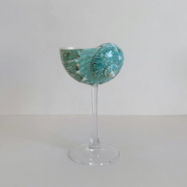 Silver & Green Conch Wine Glass