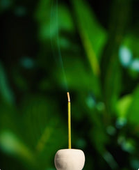 Colorful Short Incense