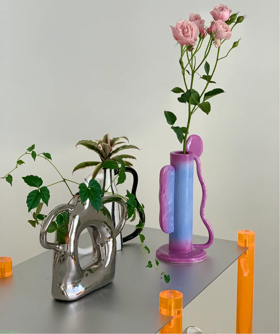 Curated Collections