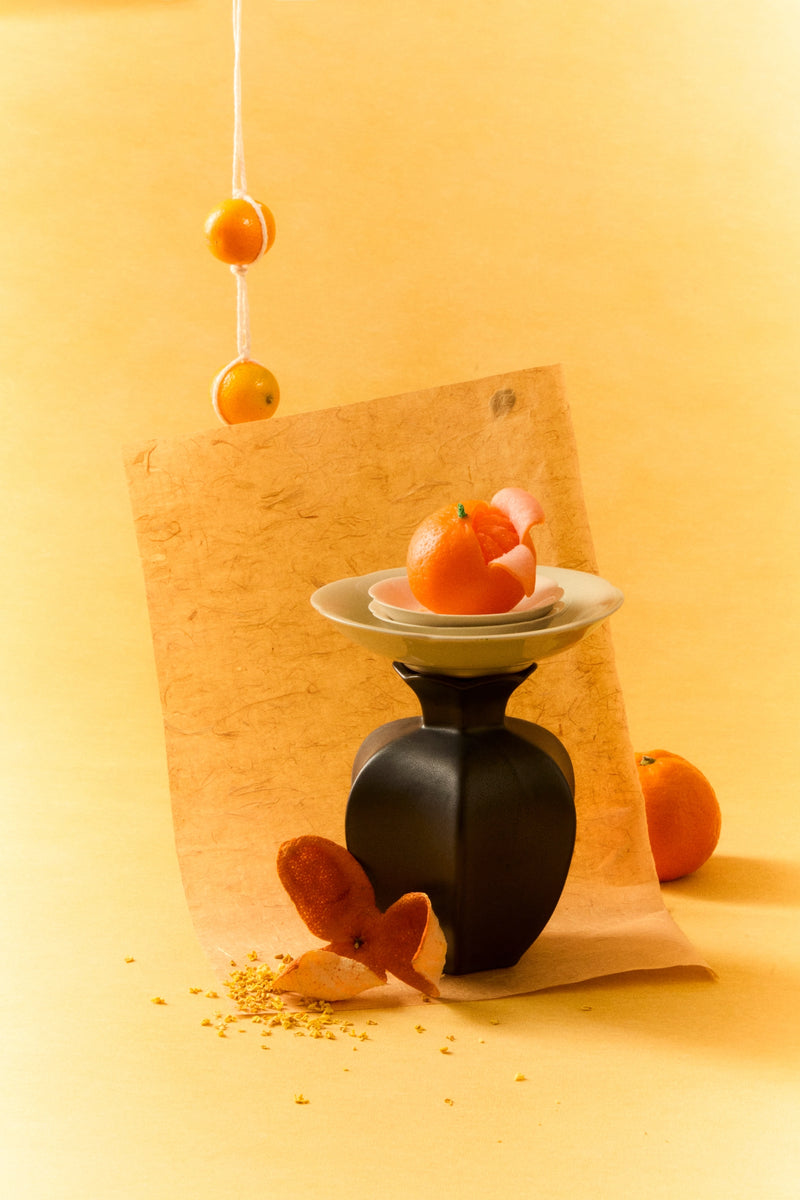 Dried Tangerine Peel Scented Sculptural Wax - TRLab Shop