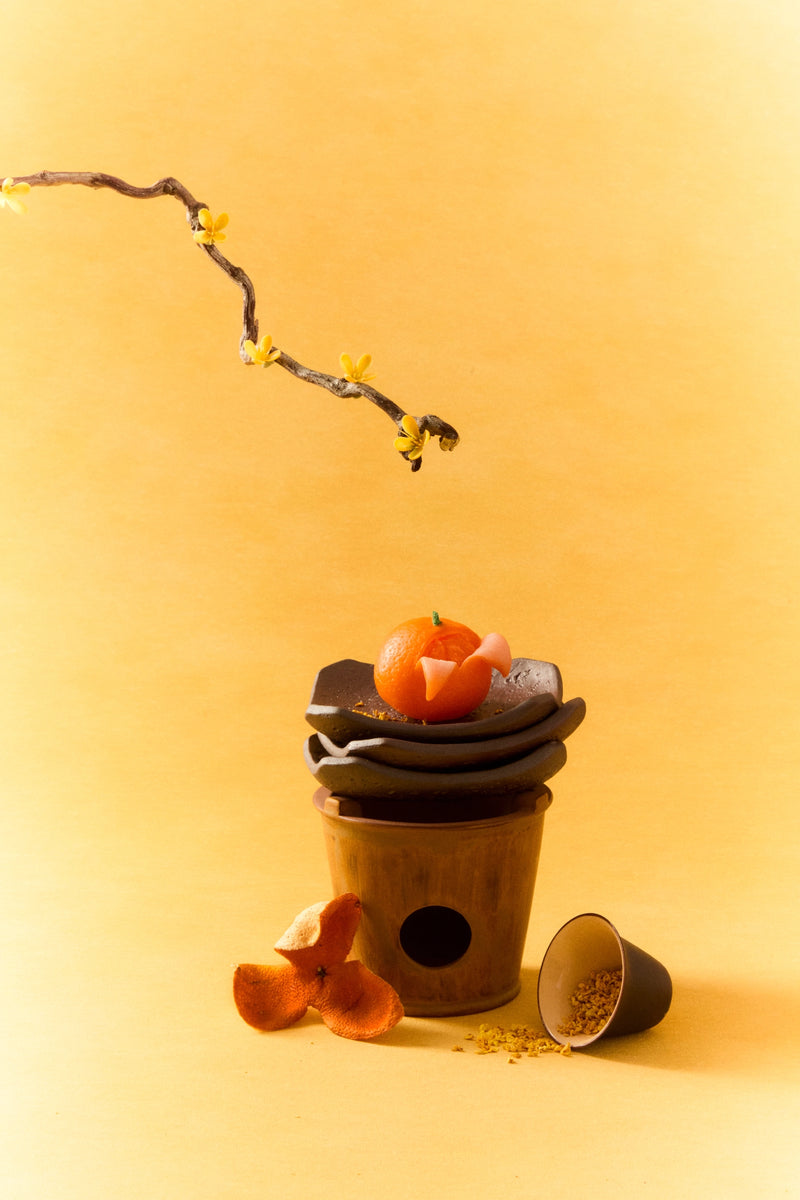 Dried Tangerine Peel Scented Sculptural Wax - TRLab Shop