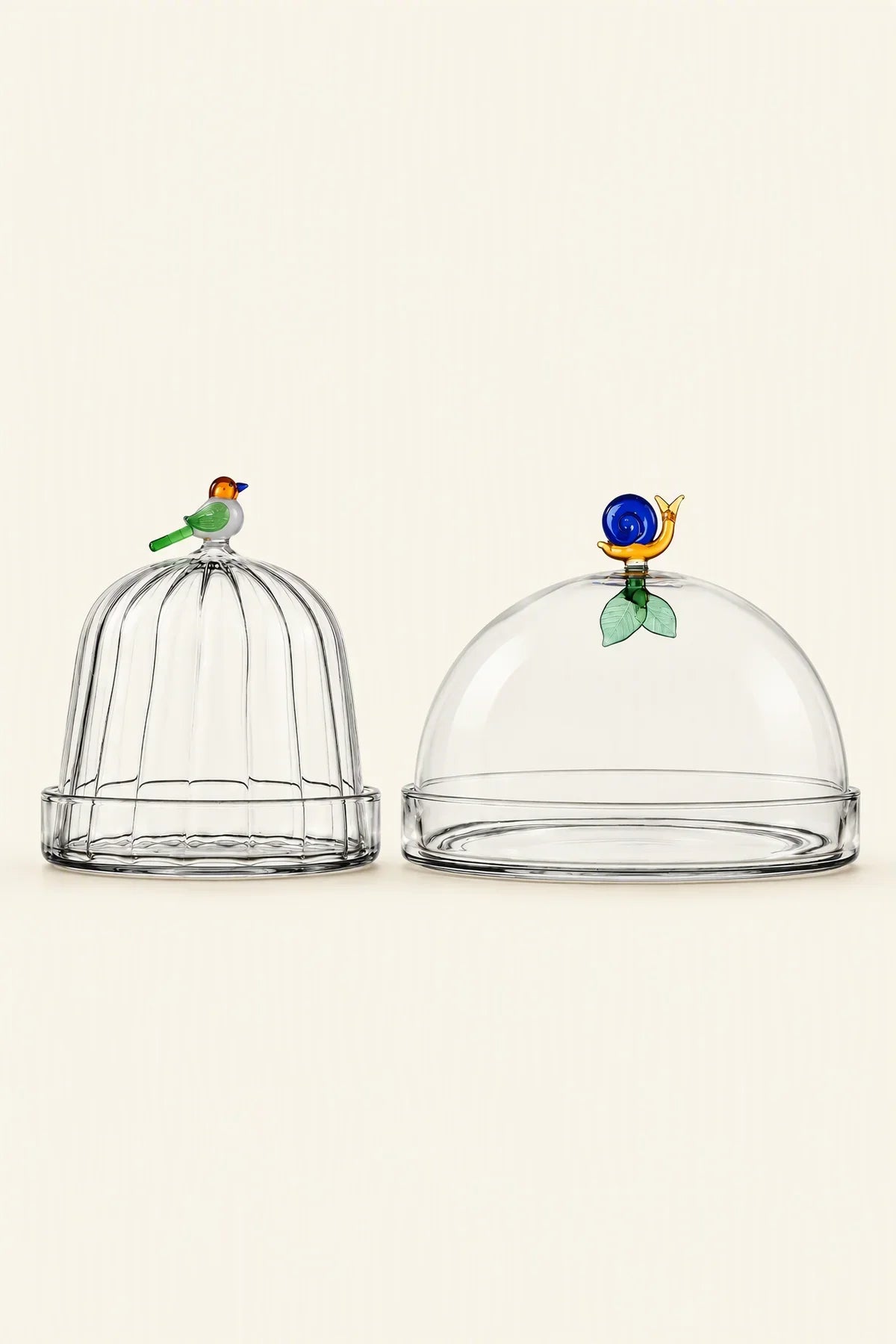 Garden Sanctuary Clear Borosilicate Glass Cloche