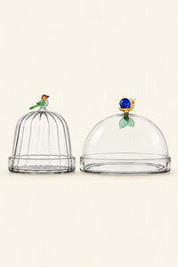 Garden Sanctuary Clear Borosilicate Glass Cloche