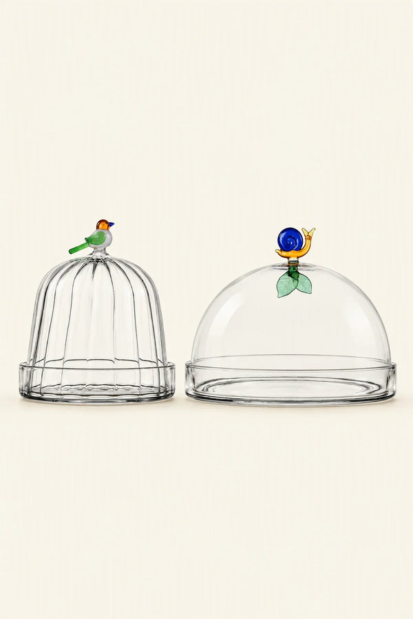 Garden Sanctuary Clear Borosilicate Glass Cloche