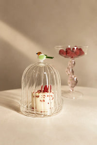 Garden Sanctuary Clear Borosilicate Glass Cloche
