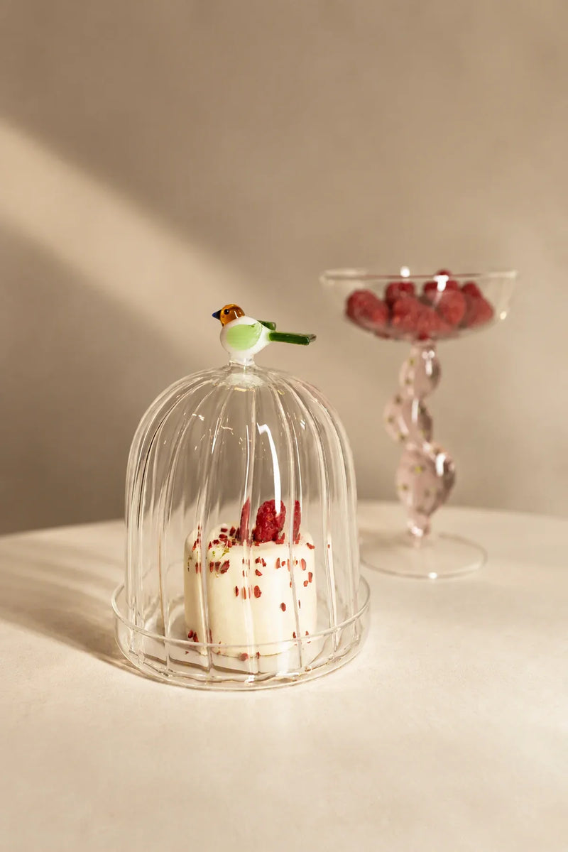 Garden Sanctuary Clear Borosilicate Glass Cloche