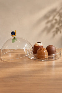 Garden Sanctuary Clear Borosilicate Glass Cloche
