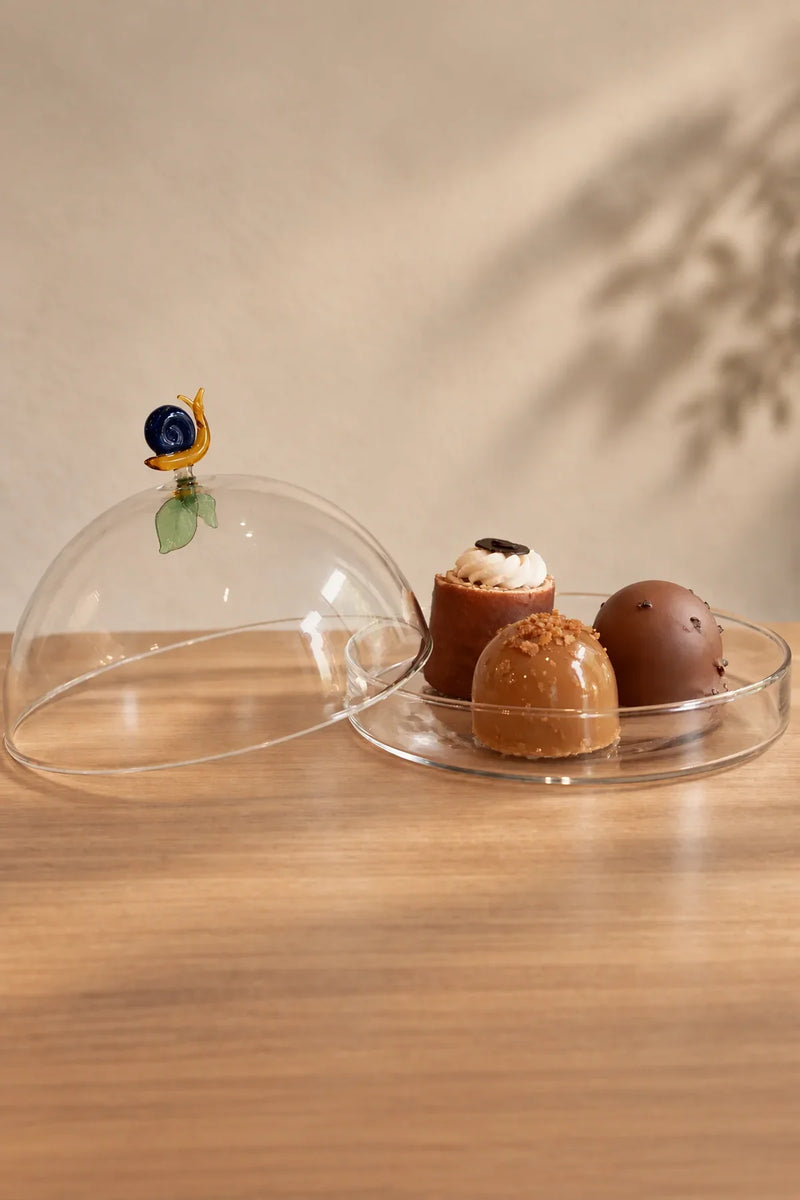 Garden Sanctuary Clear Borosilicate Glass Cloche