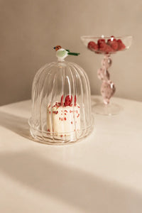 Garden Sanctuary Clear Borosilicate Glass Cloche