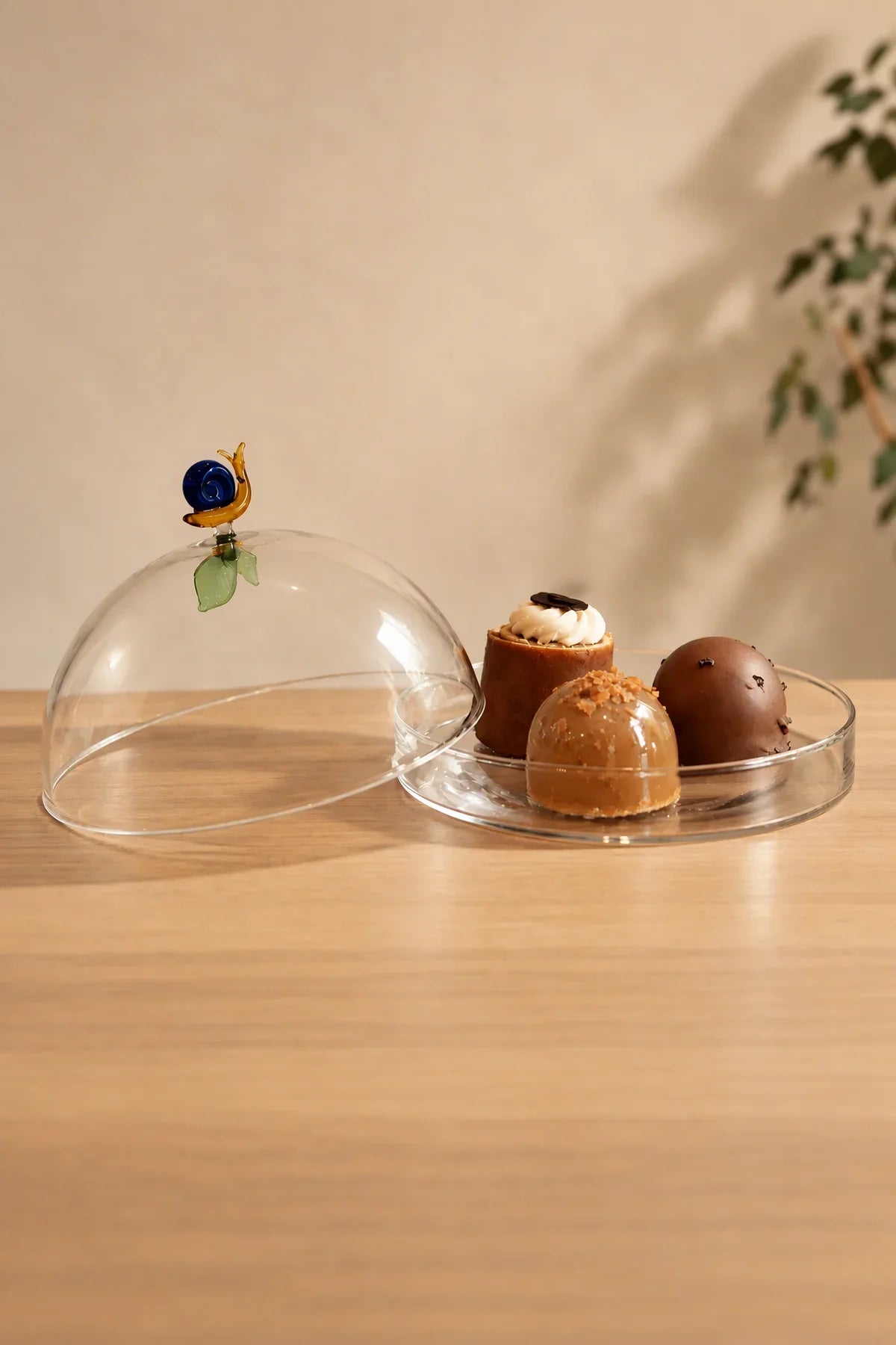 Garden Sanctuary Clear Borosilicate Glass Cloche