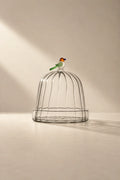 Garden Sanctuary Clear Borosilicate Glass Cloche