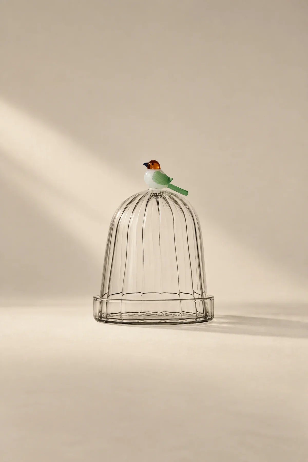 Garden Sanctuary Clear Borosilicate Glass Cloche