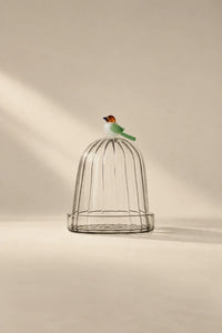 Garden Sanctuary Clear Borosilicate Glass Cloche