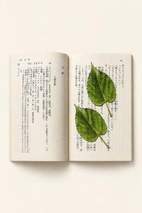 Eternal Spring Green Resin Bookmark