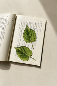 Eternal Spring Green Resin Bookmark