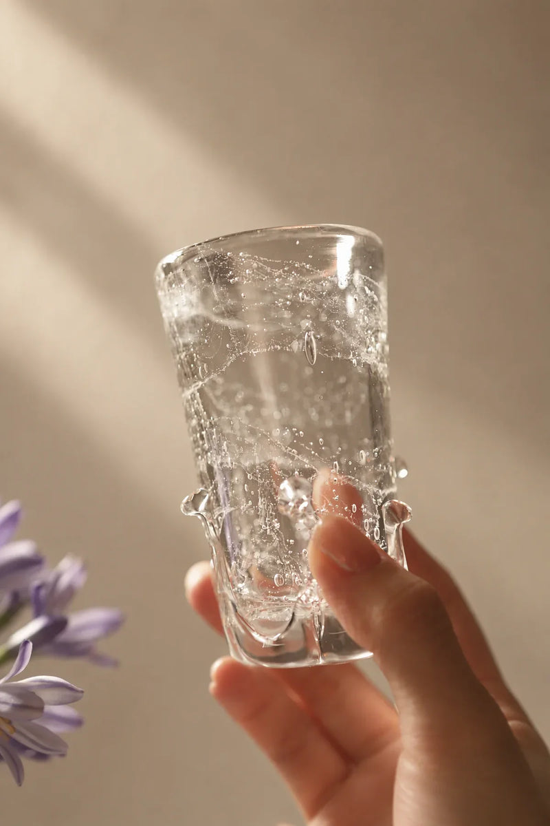 Rain Study Clear Glass Pitcher and Cup Set
