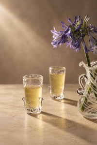 Rain Study Clear Glass Pitcher and Cup Set