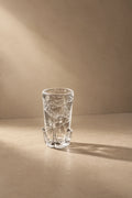 Rain Study Clear Glass Pitcher and Cup Set