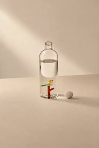 Hidden Oasis Clear Glass Water Carafe