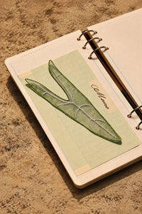 Greenhouse Note Embroidered Organza Bookmark