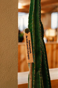 Storybook Wisdom Multi-Color Felt Bookmark