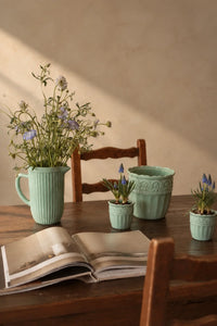 Garden Border Mint Glass Pitcher and Cup Set