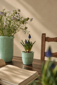 Garden Border Mint Glass Pitcher and Cup Set
