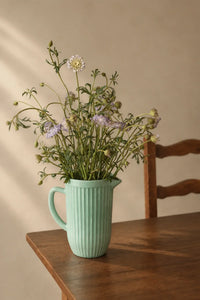 Garden Border Mint Glass Pitcher and Cup Set