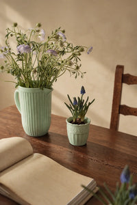 Garden Border Mint Glass Pitcher and Cup Set