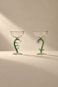 Curiosity Cabinet Clear Borosilicate Glass Drinkware