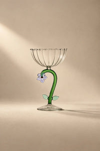 Curiosity Cabinet Clear Borosilicate Glass Drinkware