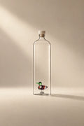 Glass Menagerie Clear Glass Drinking Vessel