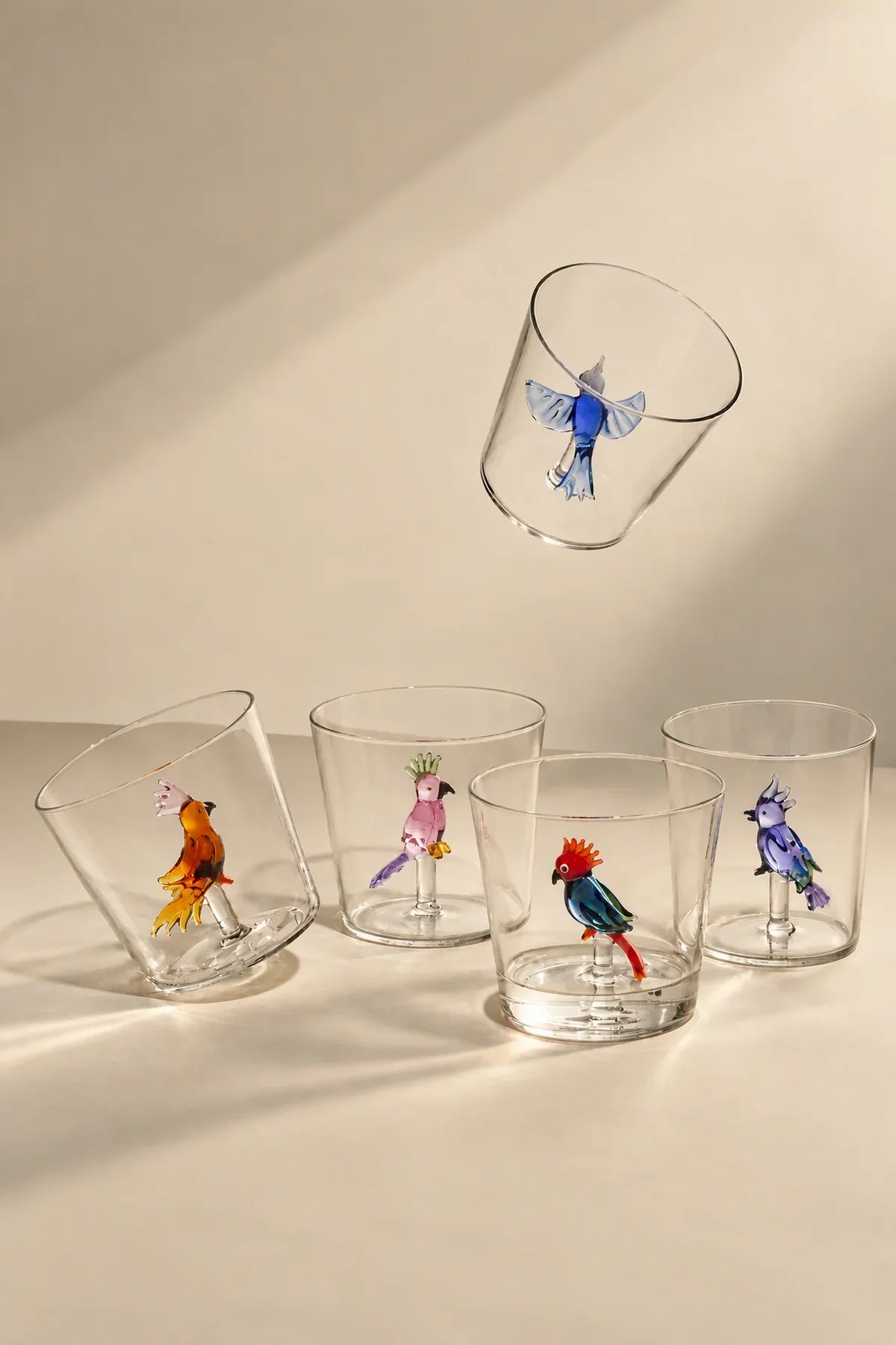 Aviary Clear Borosilicate Glass Drinkware Set