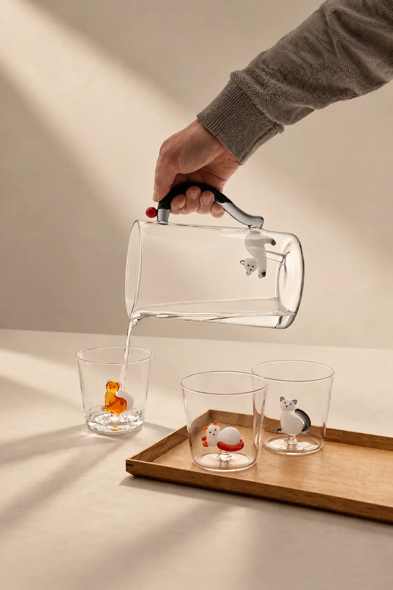 Curious Cat Clear Borosilicate Glass Mug