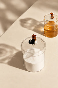 Miniature Companion Clear Glass Storage Jar