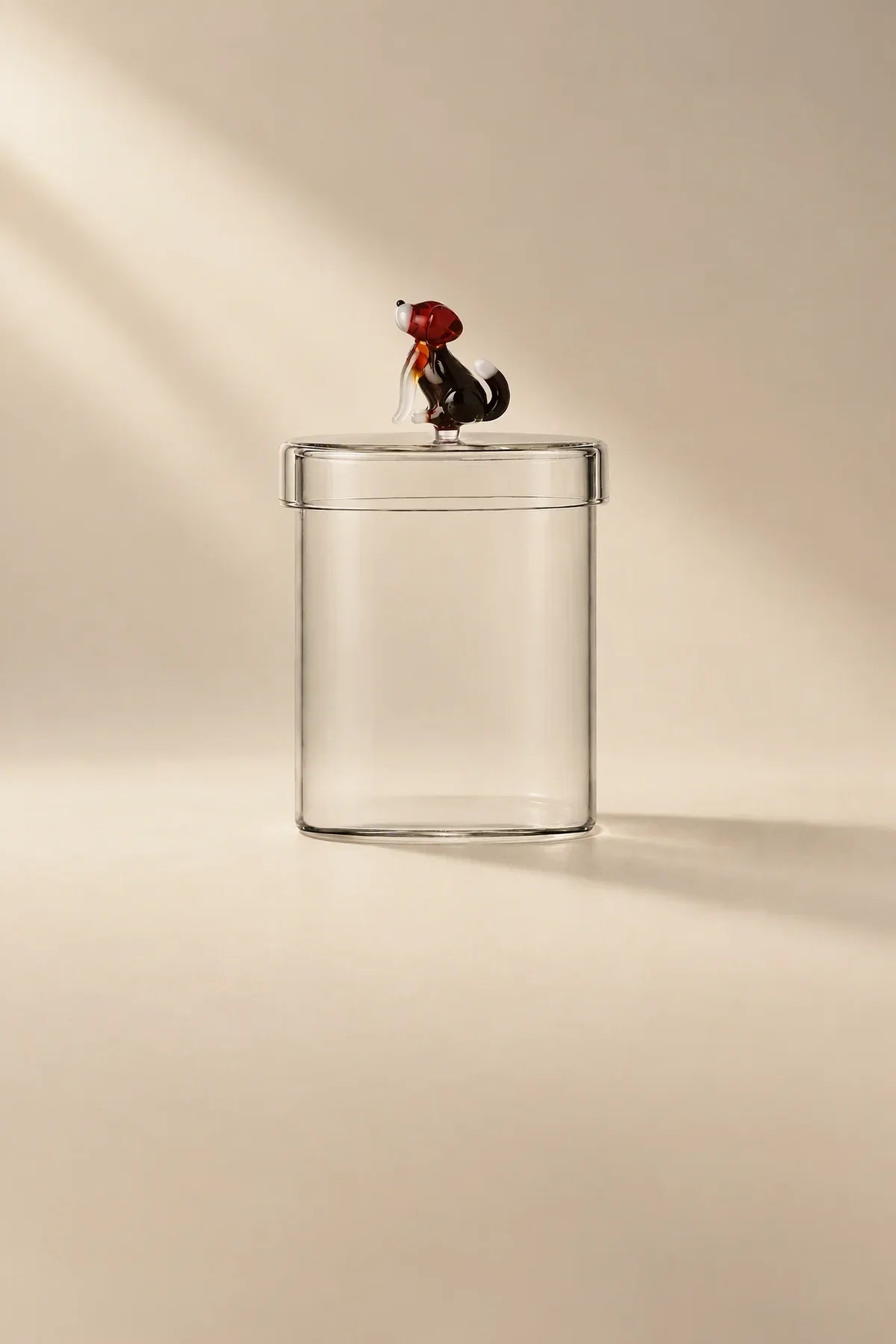 Miniature Companion Clear Glass Storage Jar