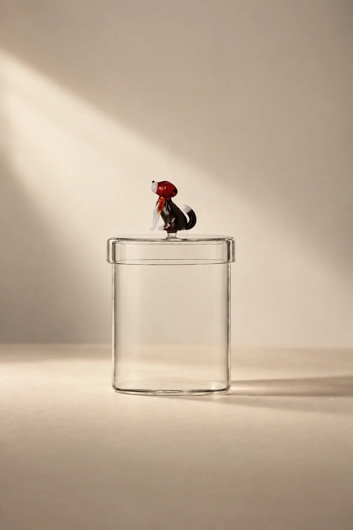 Miniature Companion Clear Glass Storage Jar