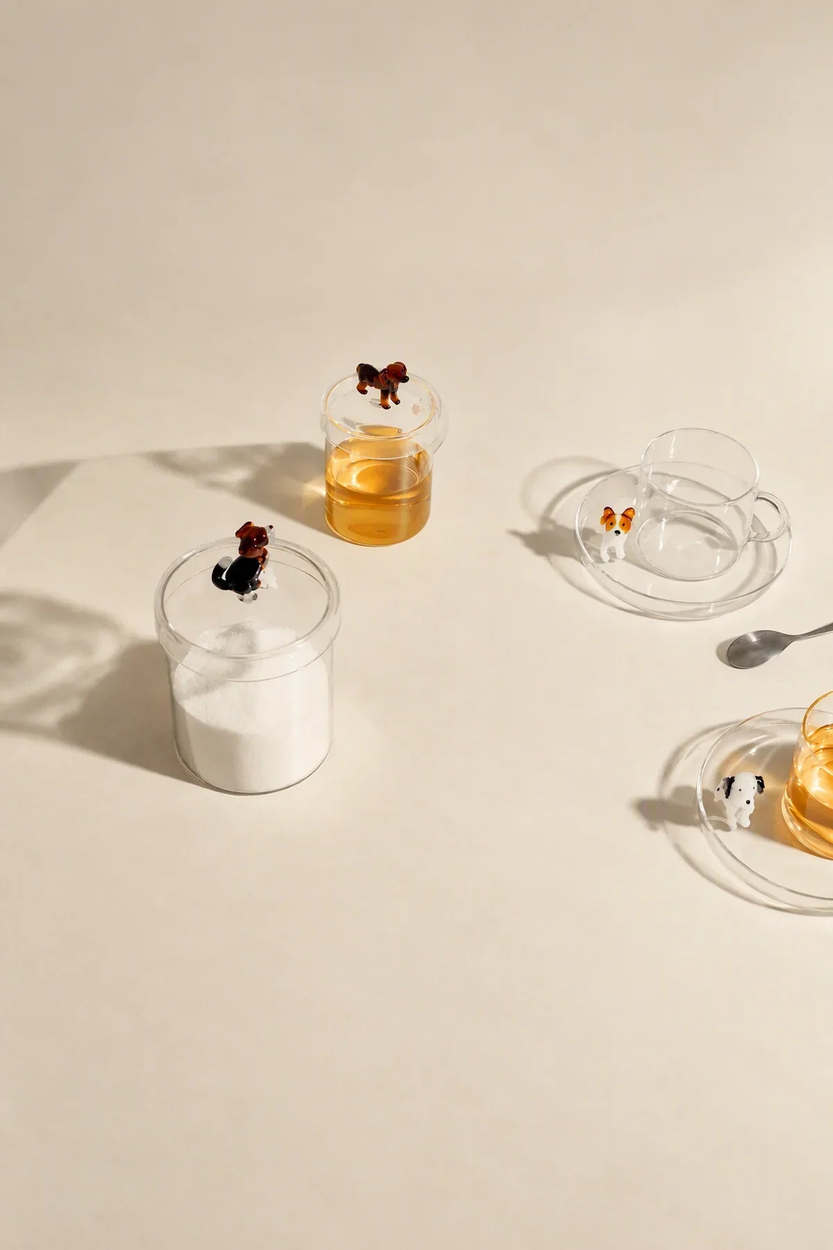 Loyal Watch Clear Glass Cup and Saucer Set