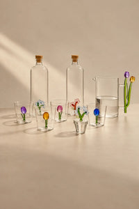 Rooted Flora Multi-Color Glass Drinkware Set