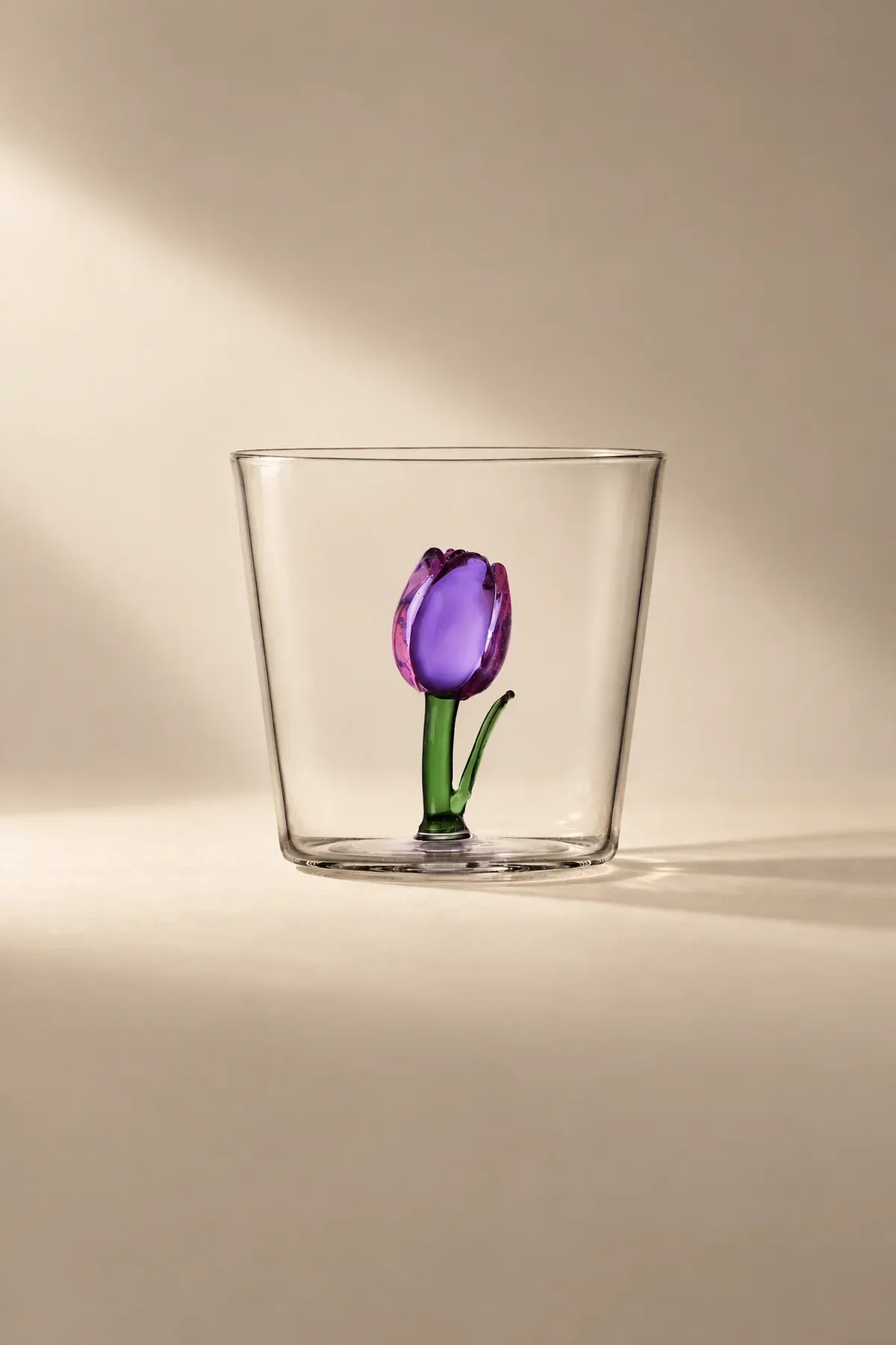 Rooted Flora Multi-Color Glass Drinkware Set