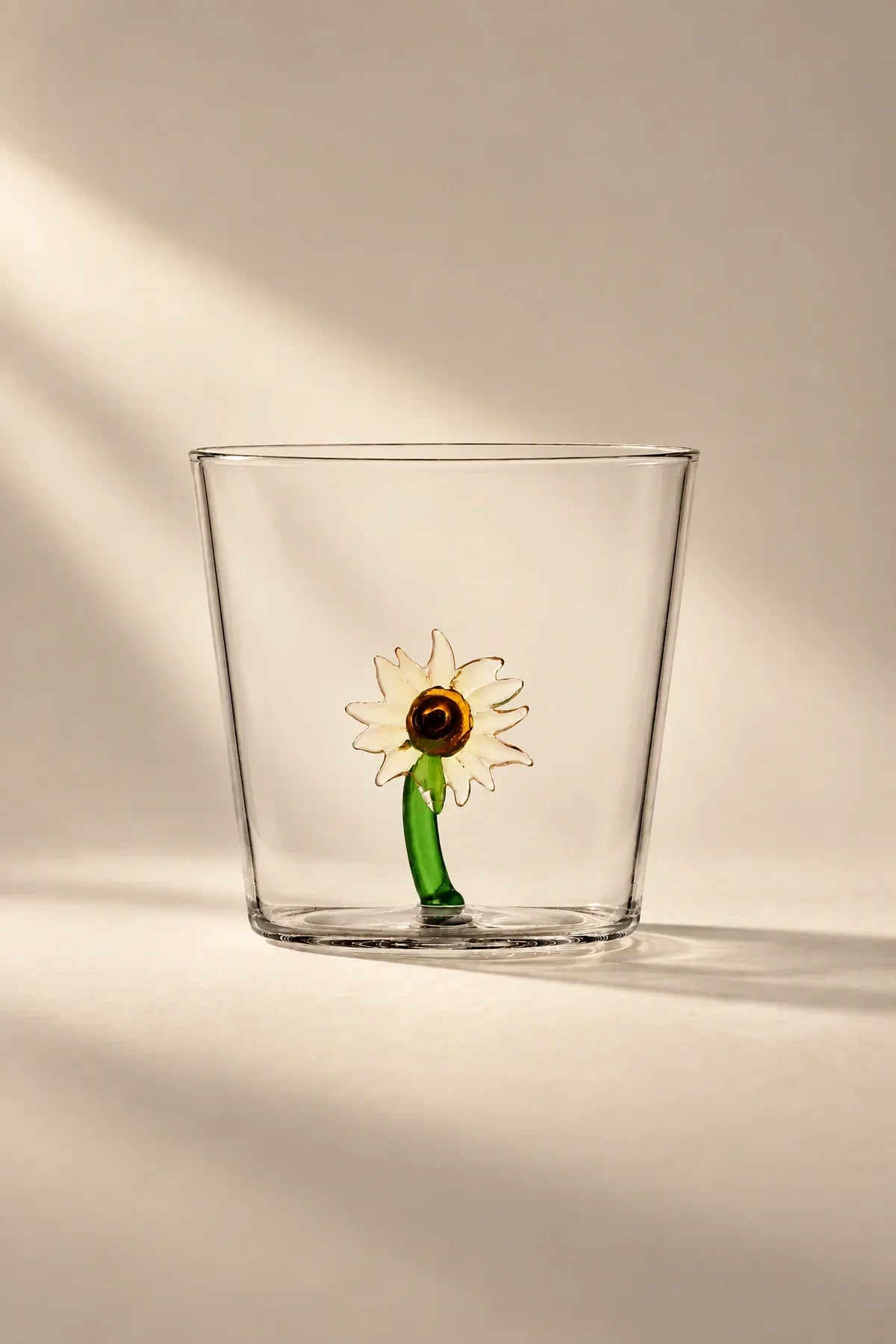 Rooted Flora Multi-Color Glass Drinkware Set