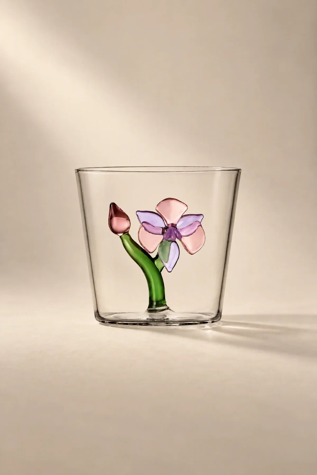 Rooted Flora Multi-Color Glass Drinkware Set