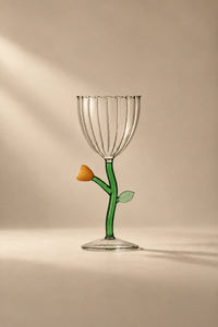 Botanica Garden Clear Borosilicate Glass Drinkware Set