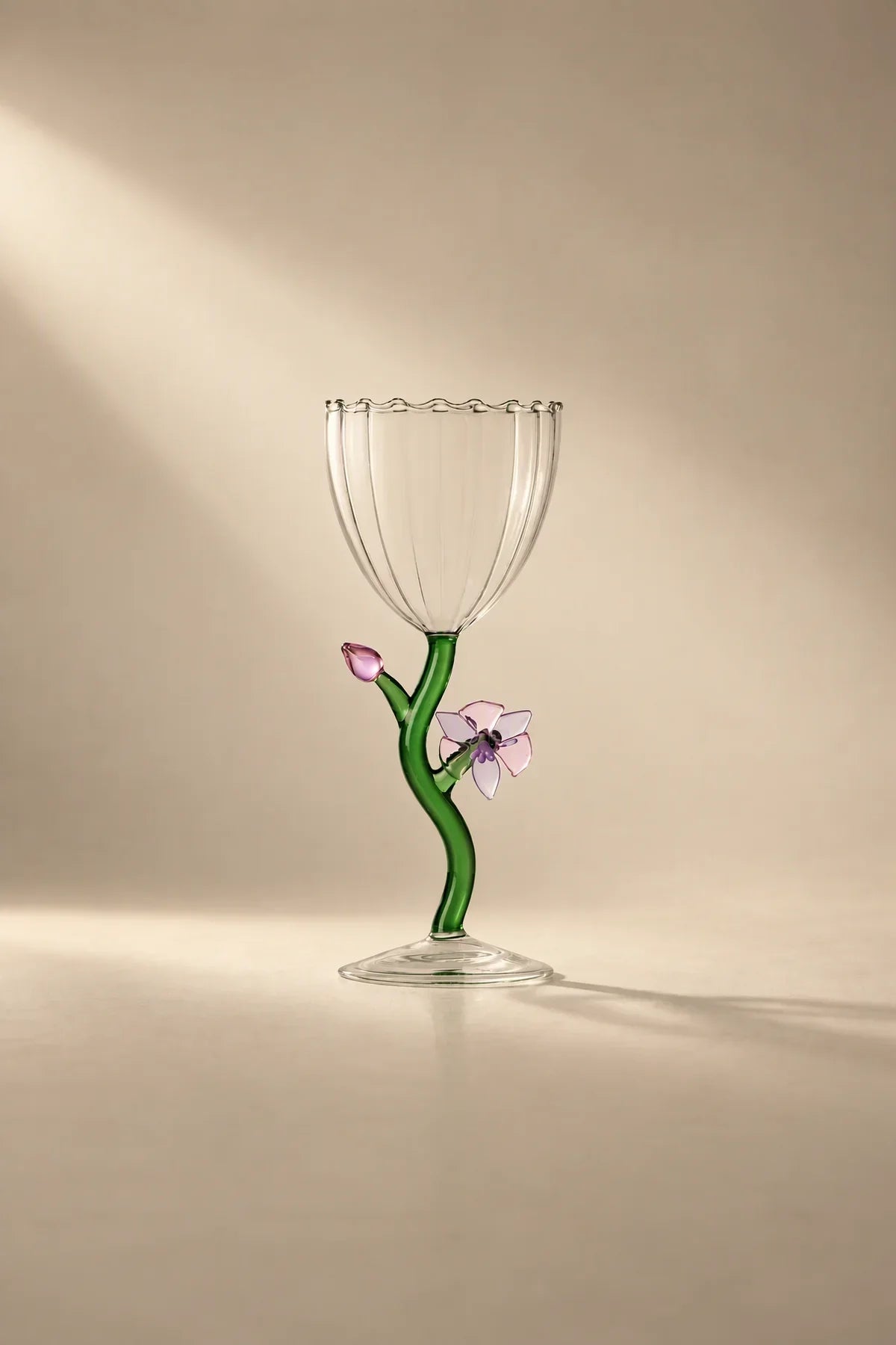 Botanica Garden Clear Borosilicate Glass Drinkware Set