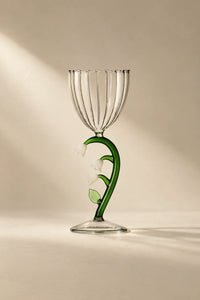 Botanica Garden Clear Borosilicate Glass Drinkware Set