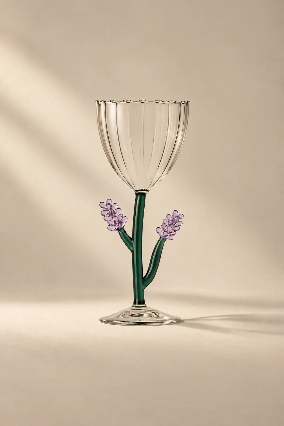 Botanica Garden Clear Borosilicate Glass Drinkware Set