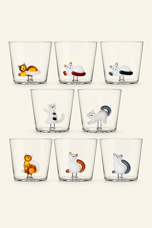 Hidden Curiosity Clear Glass Drinking Cup
